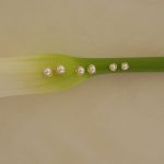 پک گوشواره مروارید کد 28