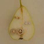 پک گوشواره دیور کد 29