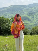 ساری هندی