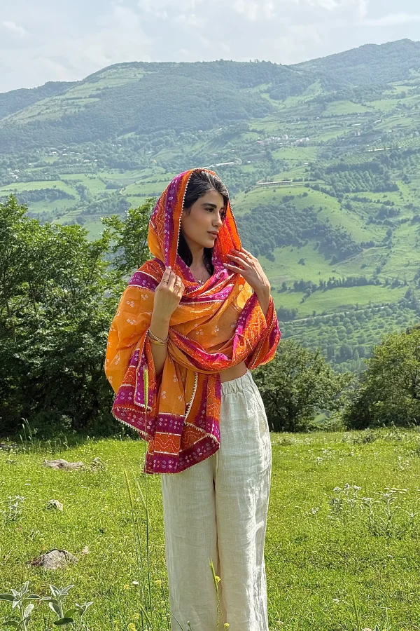ساری هندی
