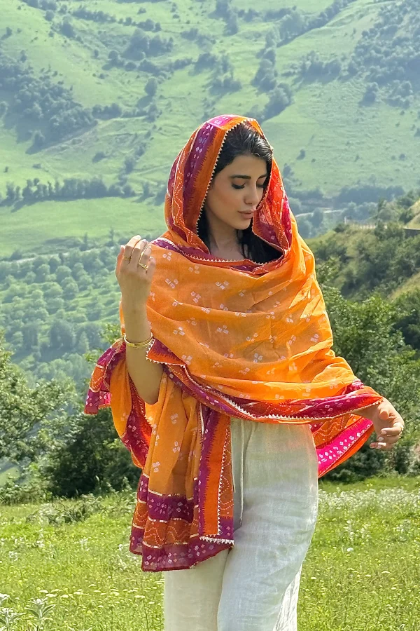 ساری هندی