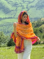 ساری هندی