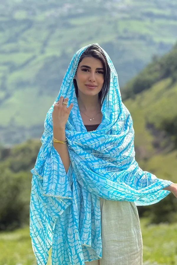 ساری هندی سنتی