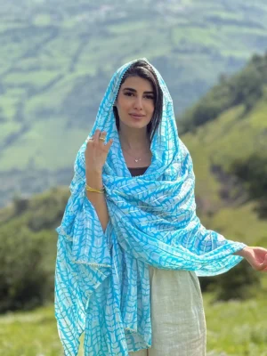 ساری هندی سنتی