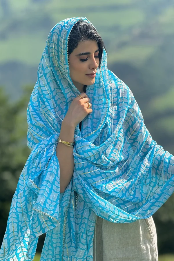 ساری هندی