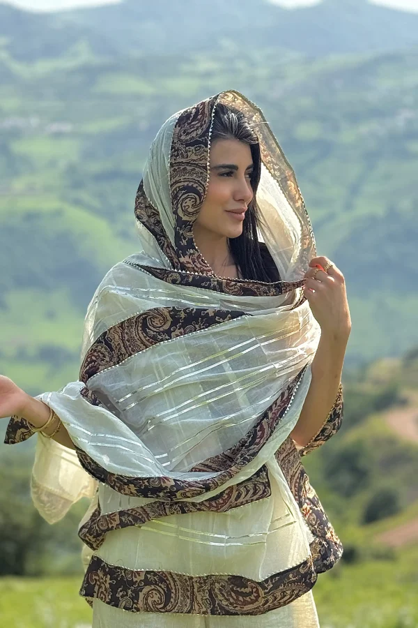 ساری هندی