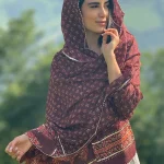 ساری هندی زرشکی