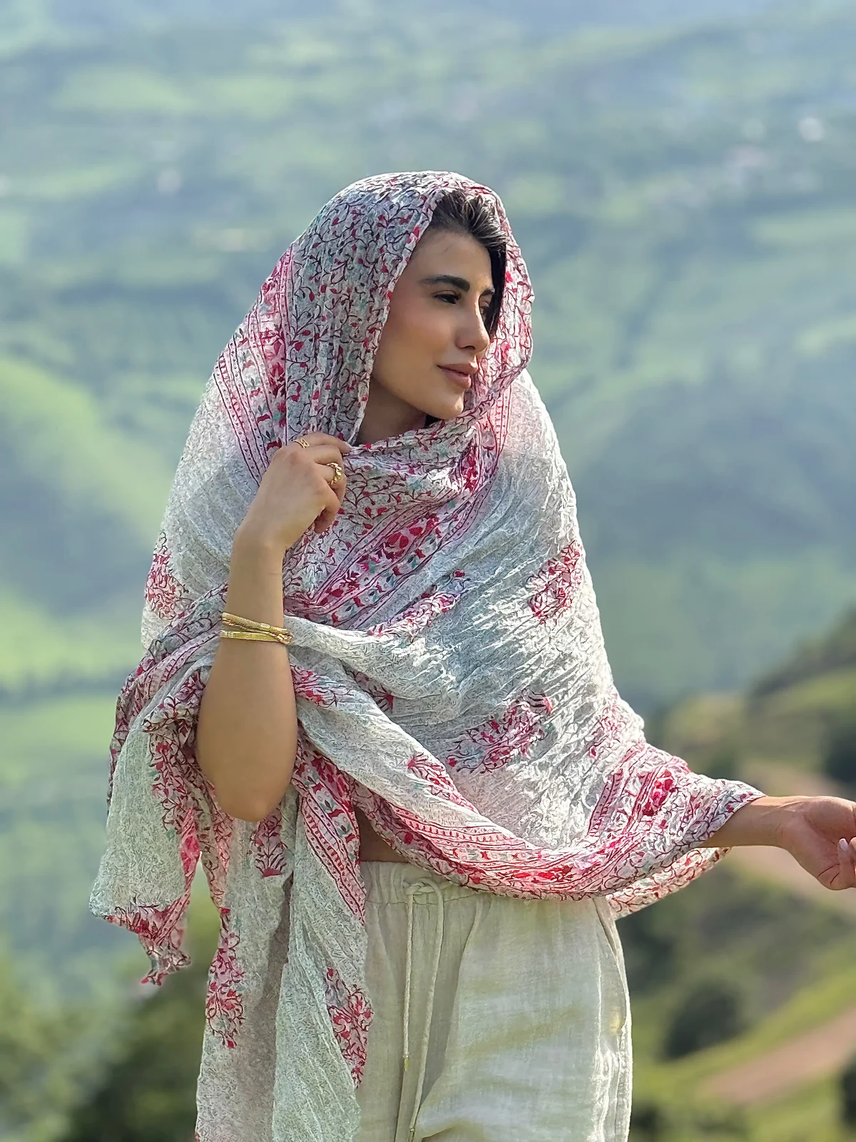 ساری هندی