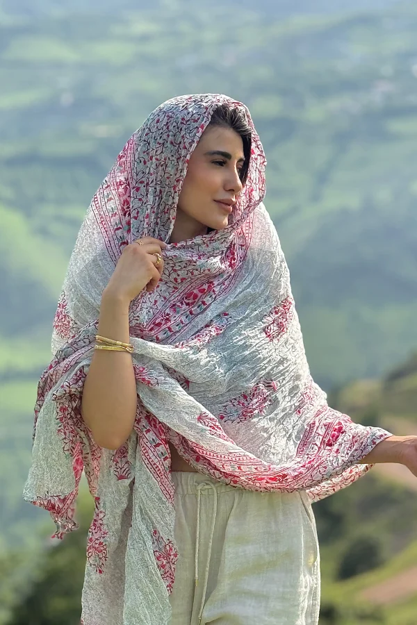 ساری هندی