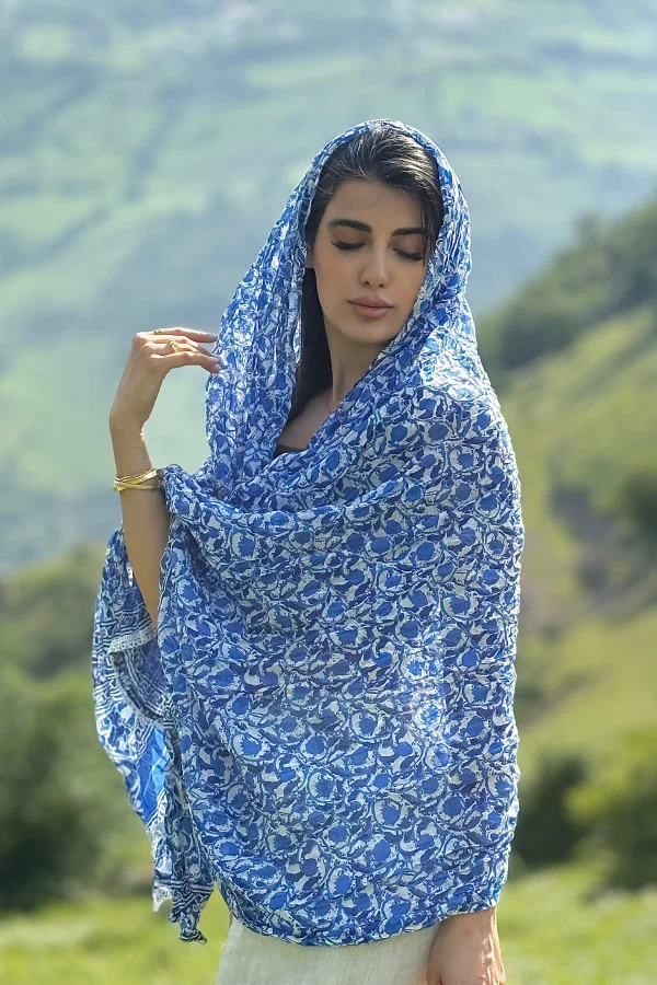 ساری هندی آبی