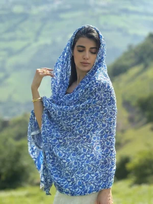 ساری هندی آبی