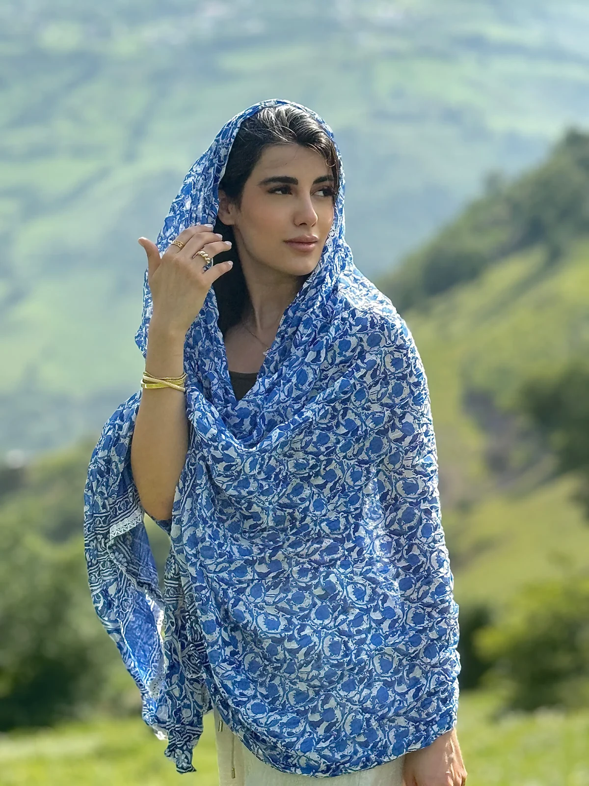 ساری هندی
