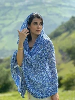 ساری هندی