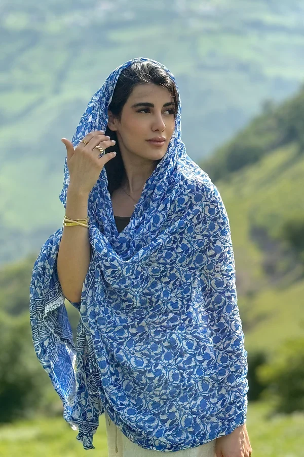 ساری هندی