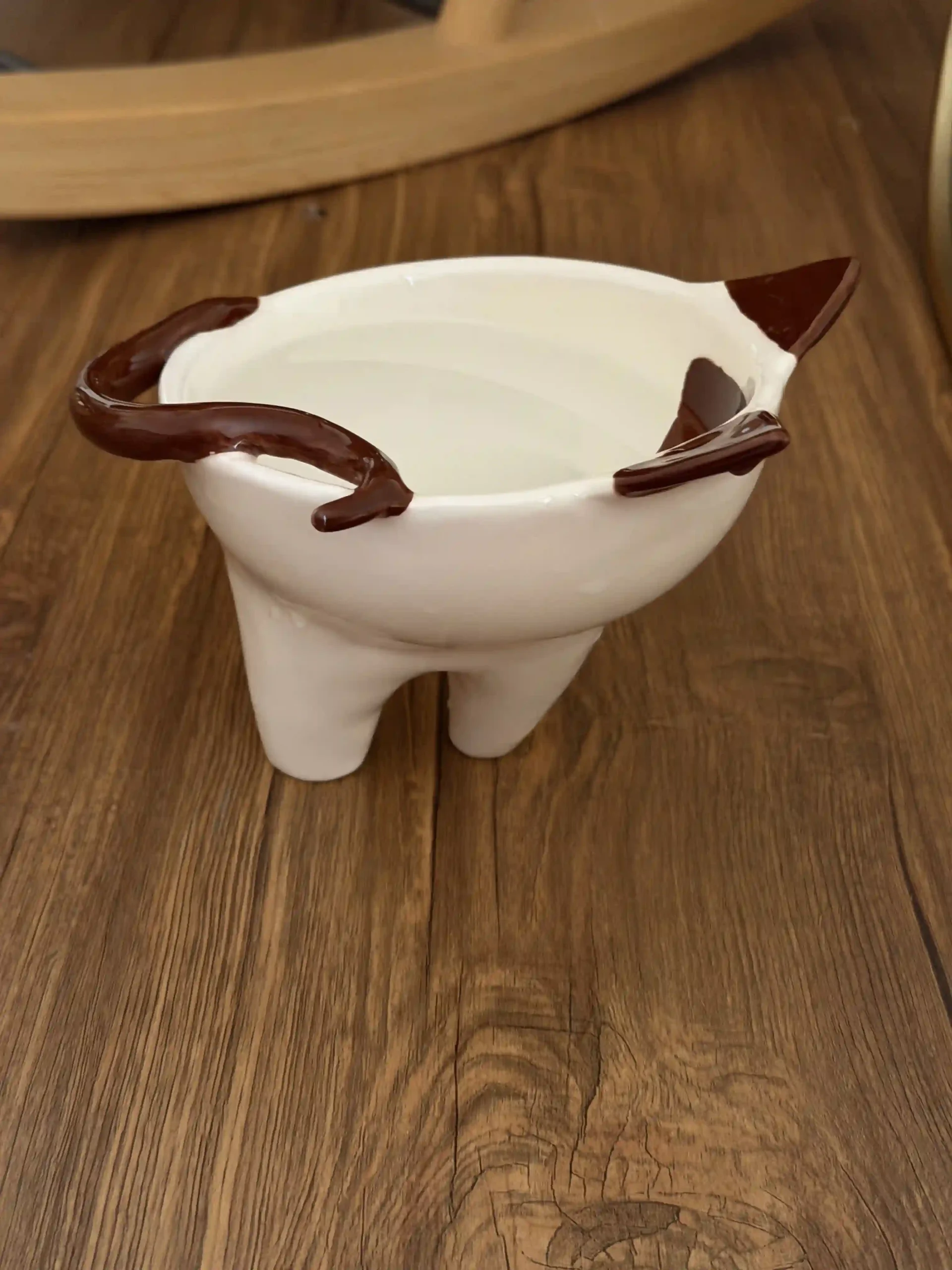 IMG_1474 ظرف غذا گربه - Image 2