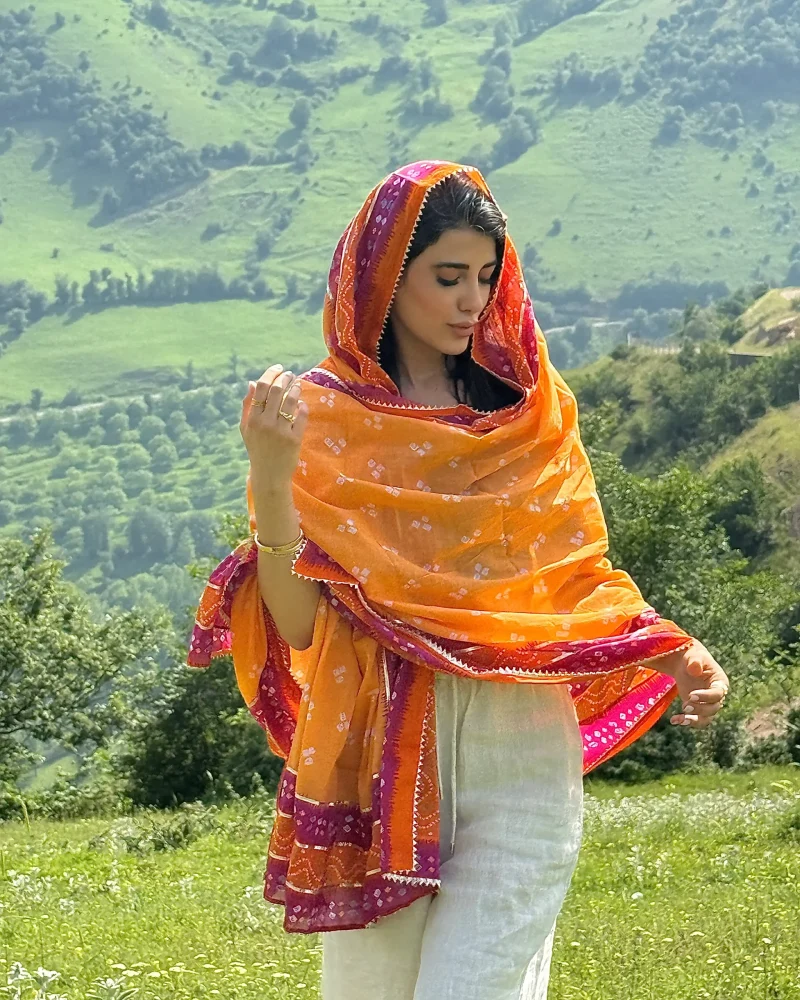 ساری هندی